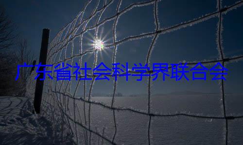 广东省社会席余鸿纯被专职副主会党组成员查科学界联合
